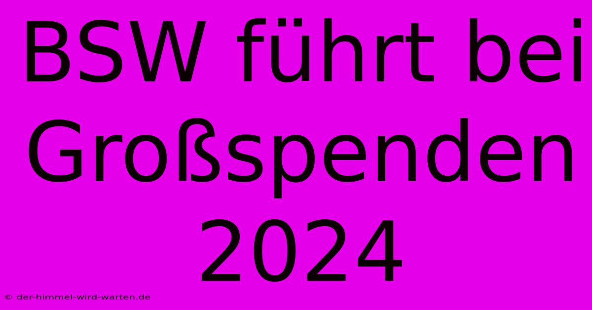 BSW Führt Bei Großspenden 2024