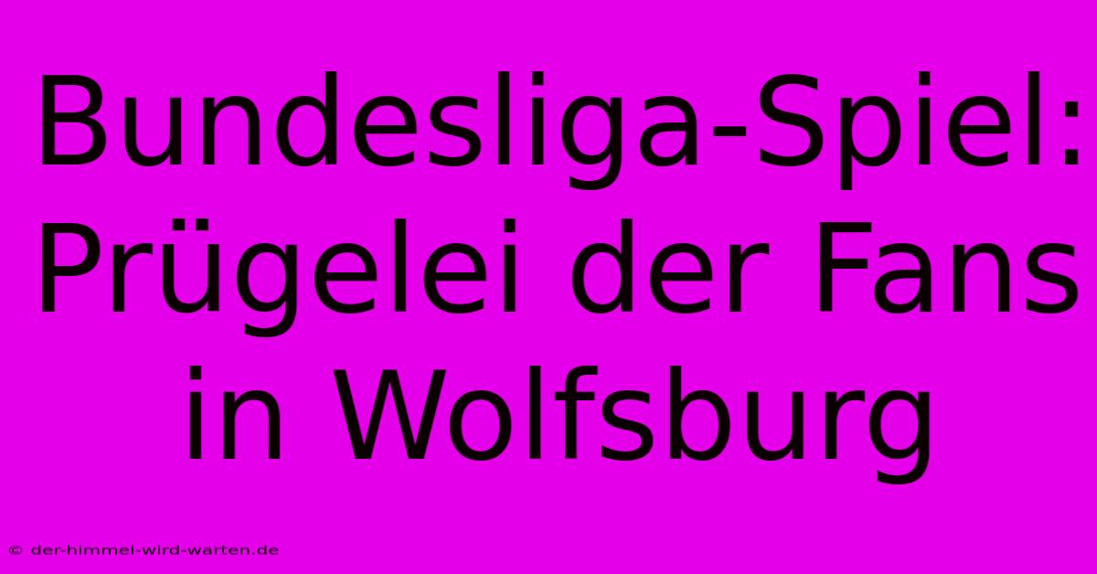 Bundesliga-Spiel: Prügelei Der Fans In Wolfsburg