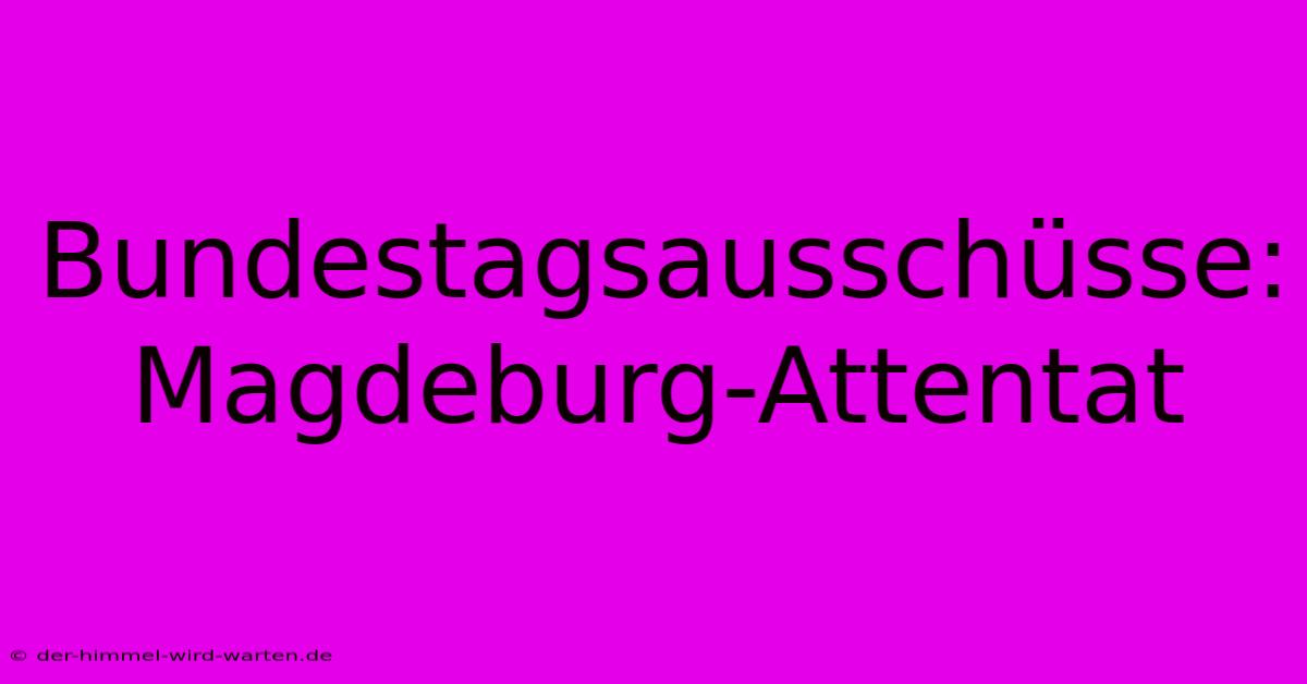 Bundestagsausschüsse: Magdeburg-Attentat