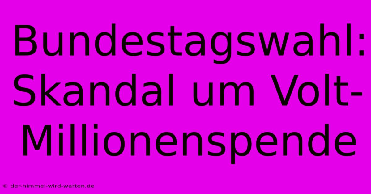 Bundestagswahl: Skandal Um Volt-Millionenspende