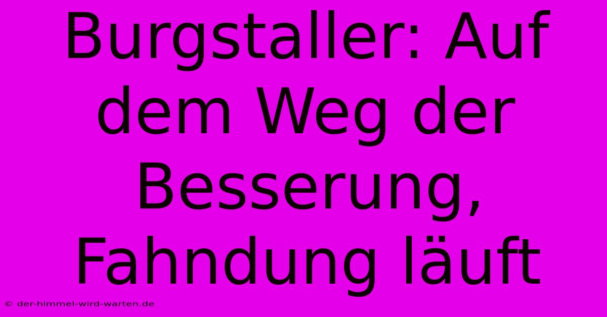 Burgstaller: Auf Dem Weg Der Besserung, Fahndung Läuft