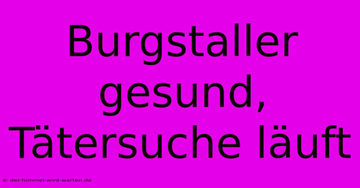 Burgstaller Gesund, Tätersuche Läuft