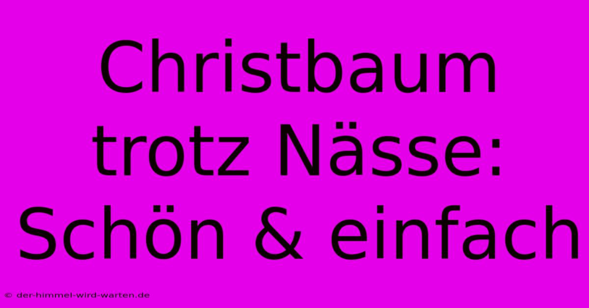 Christbaum Trotz Nässe: Schön & Einfach