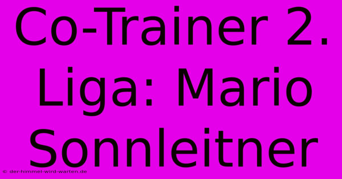 Co-Trainer 2. Liga: Mario Sonnleitner