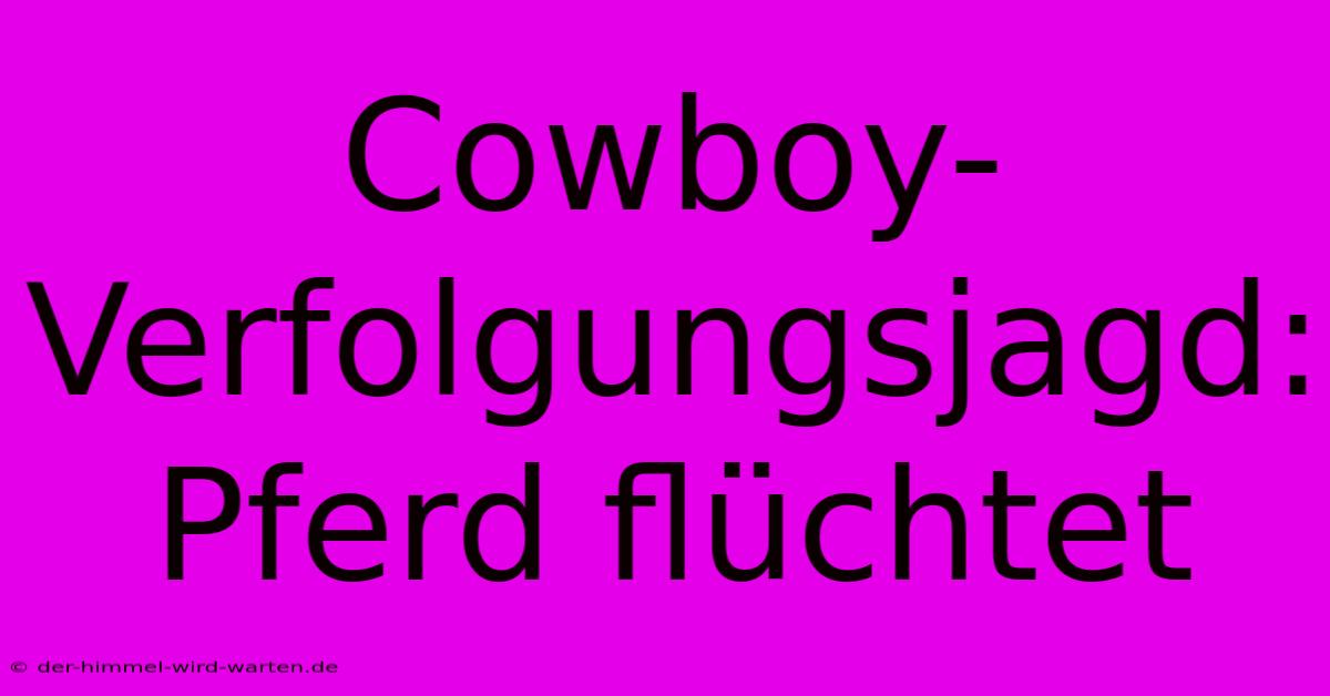 Cowboy-Verfolgungsjagd: Pferd Flüchtet