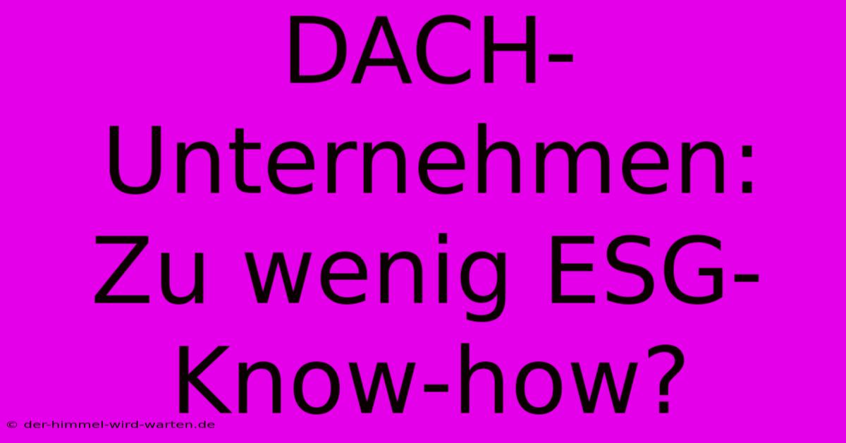 DACH-Unternehmen:  Zu Wenig ESG-Know-how?