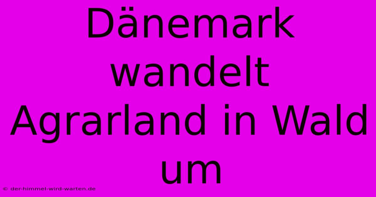 Dänemark Wandelt Agrarland In Wald Um