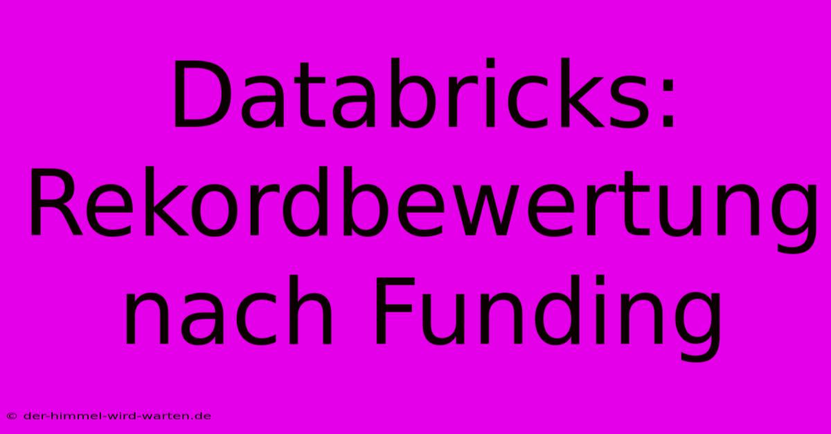 Databricks: Rekordbewertung Nach Funding