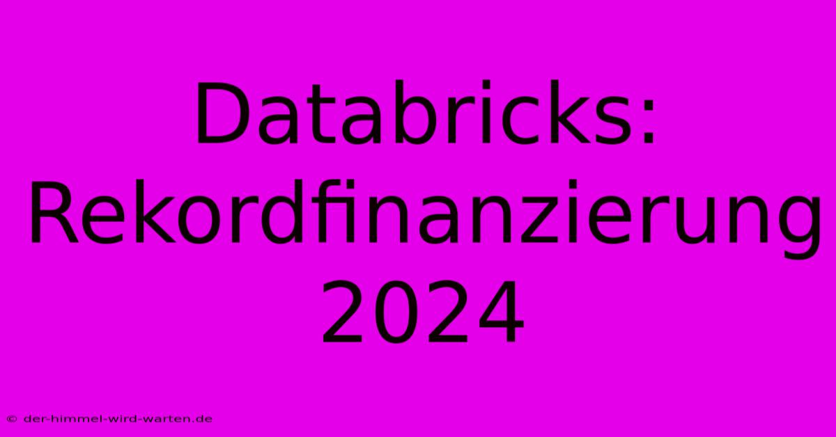 Databricks: Rekordfinanzierung 2024