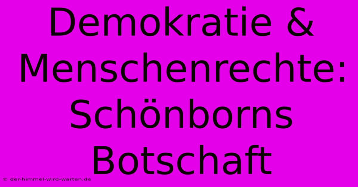 Demokratie & Menschenrechte: Schönborns Botschaft