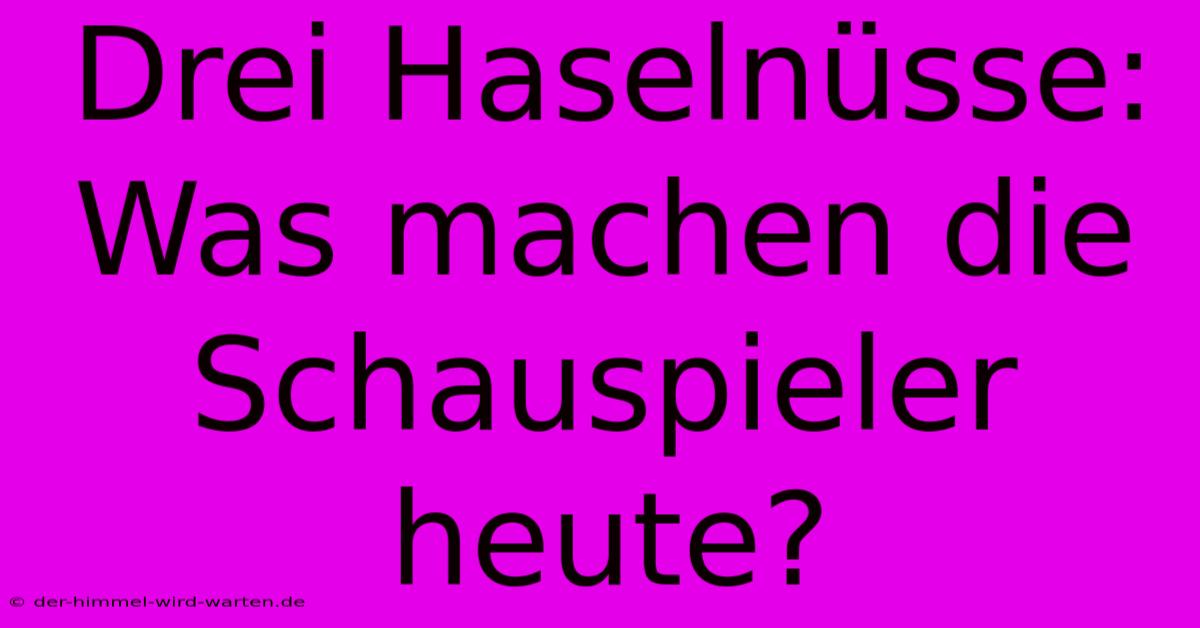 Drei Haselnüsse: Was Machen Die Schauspieler Heute?