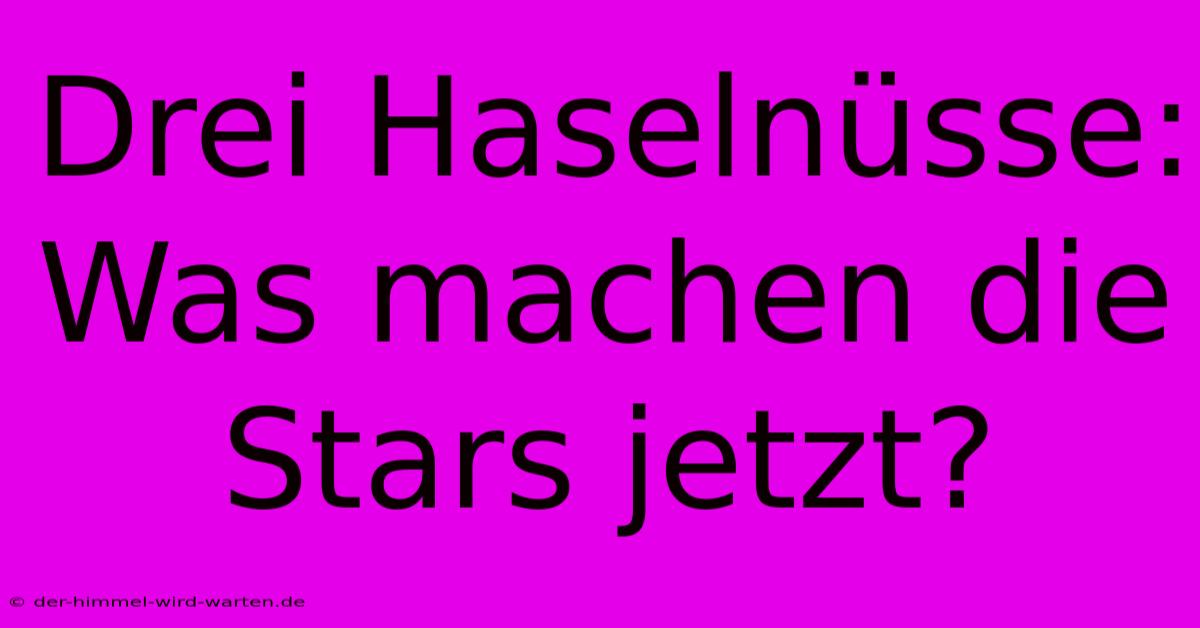 Drei Haselnüsse: Was Machen Die Stars Jetzt?