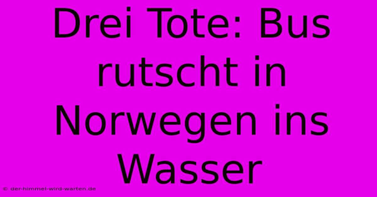 Drei Tote: Bus Rutscht In Norwegen Ins Wasser