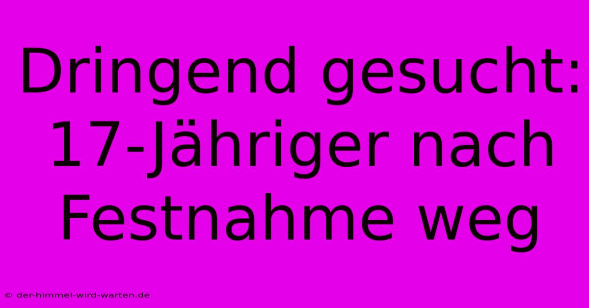 Dringend Gesucht: 17-Jähriger Nach Festnahme Weg