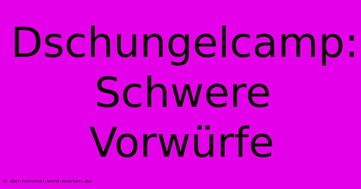 Dschungelcamp: Schwere Vorwürfe