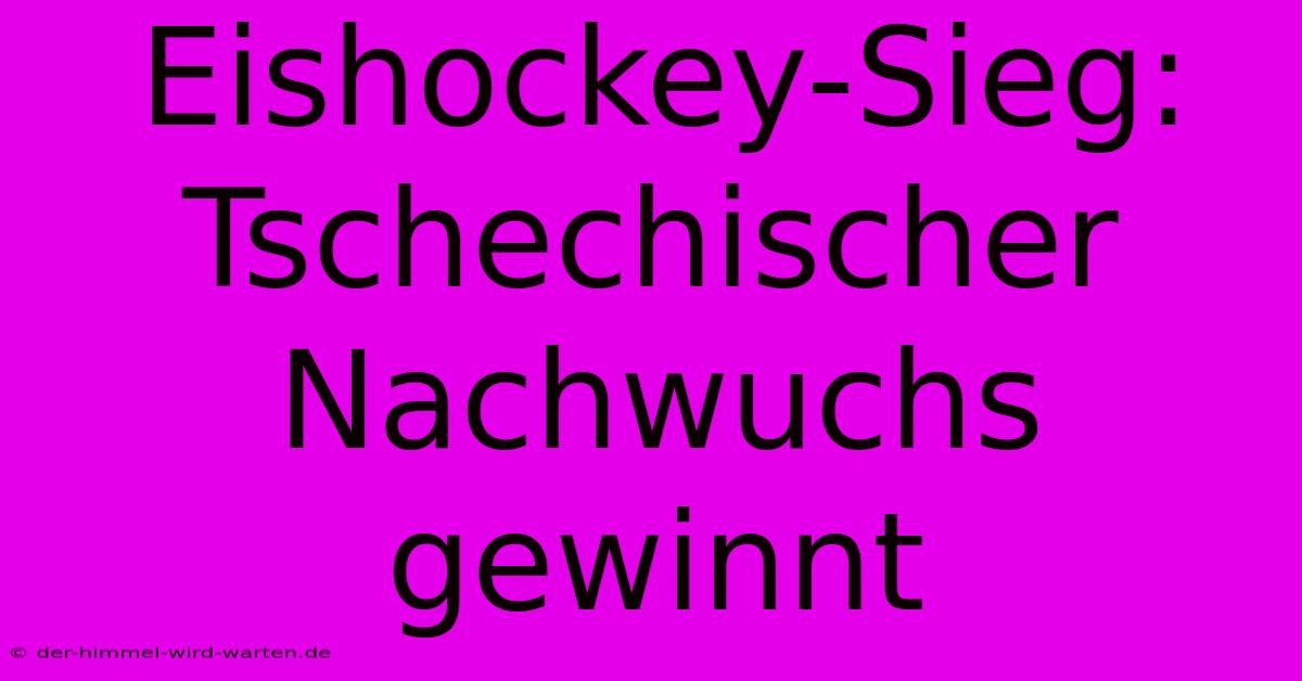 Eishockey-Sieg: Tschechischer Nachwuchs Gewinnt