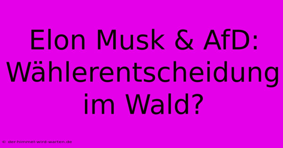 Elon Musk & AfD: Wählerentscheidung Im Wald?