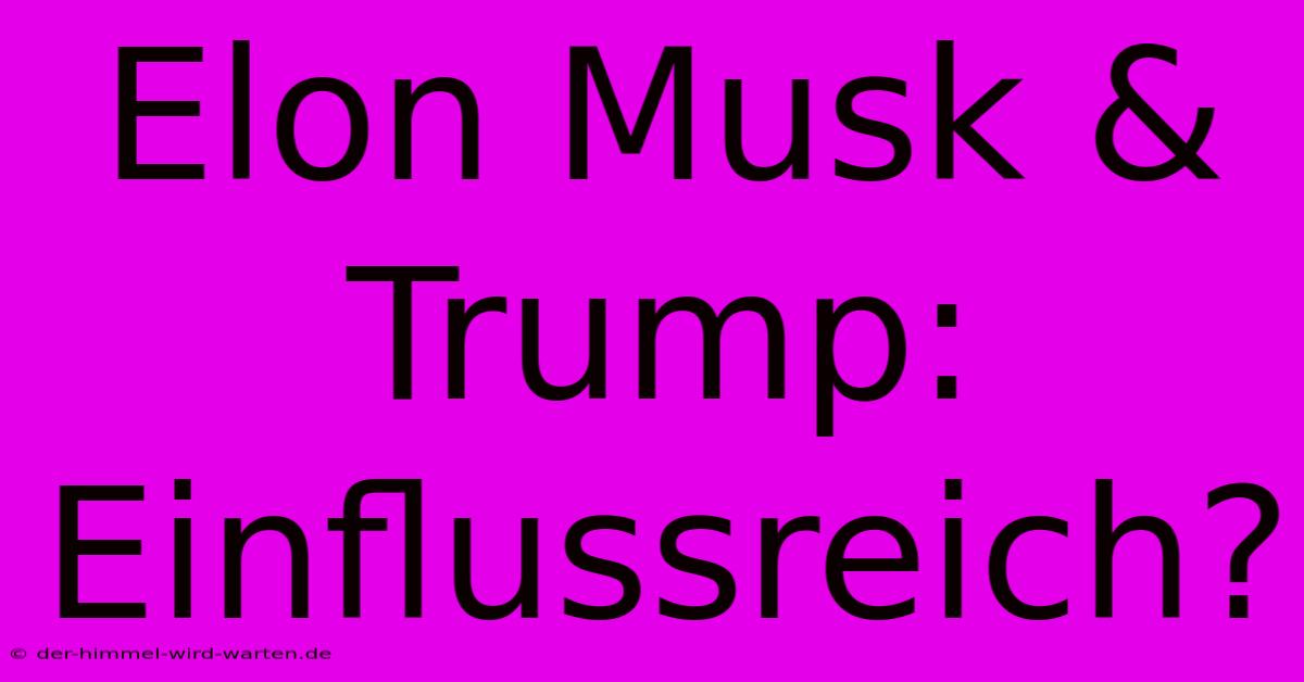 Elon Musk & Trump: Einflussreich?