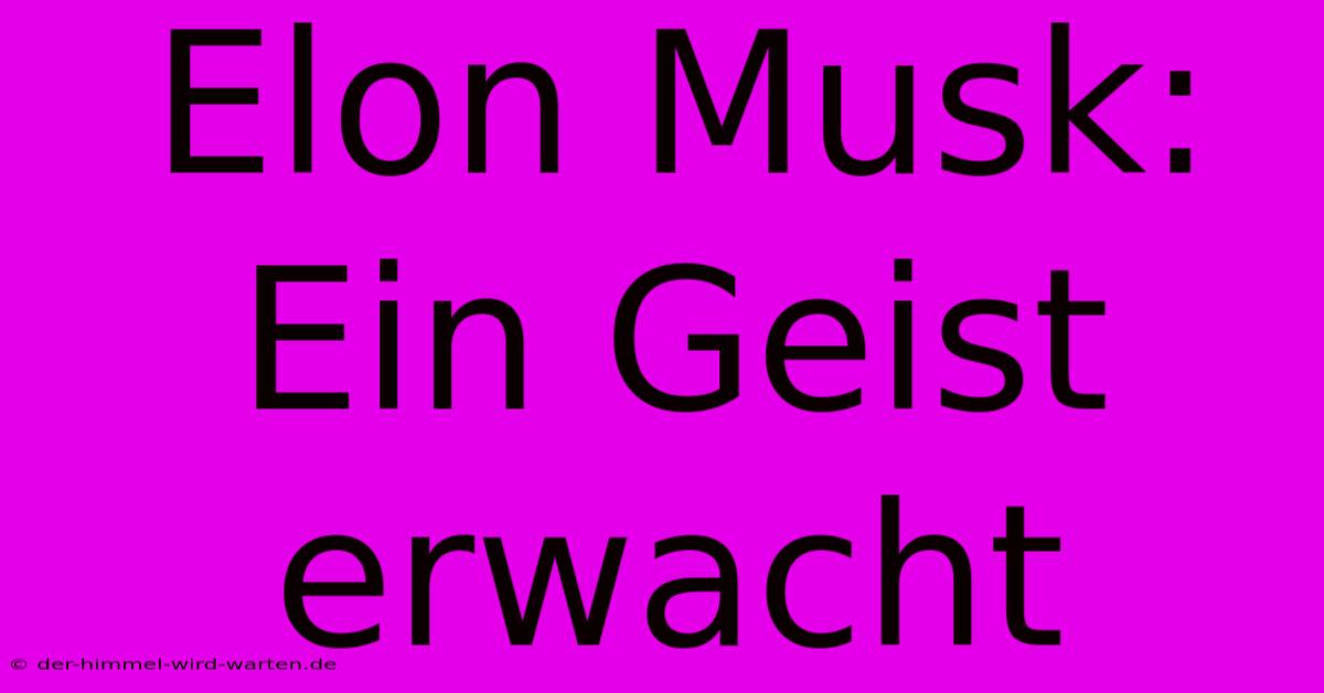 Elon Musk: Ein Geist Erwacht