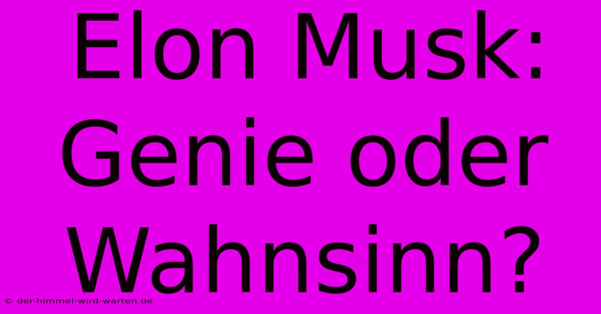 Elon Musk:  Genie Oder Wahnsinn?