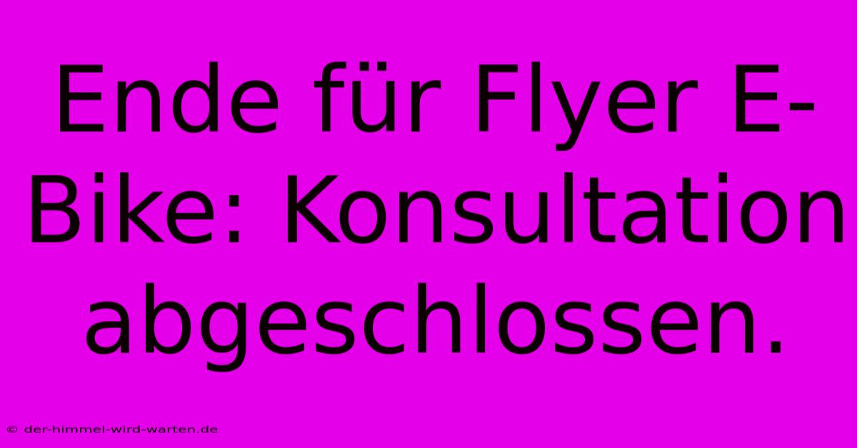 Ende Für Flyer E-Bike: Konsultation Abgeschlossen.