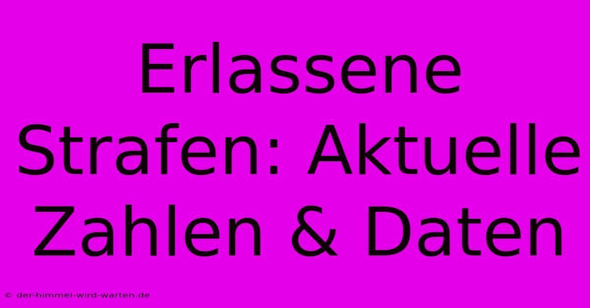 Erlassene Strafen: Aktuelle Zahlen & Daten