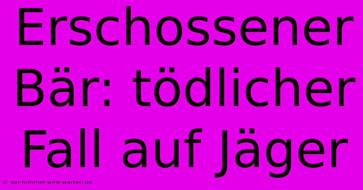 Erschossener Bär: Tödlicher Fall Auf Jäger