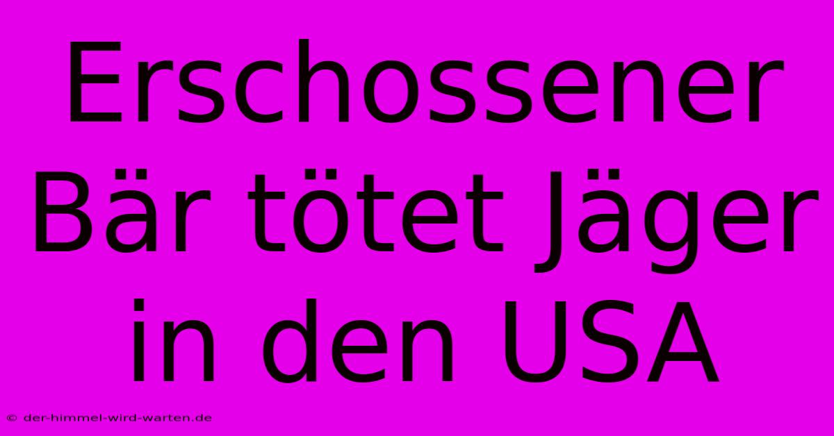 Erschossener Bär Tötet Jäger In Den USA