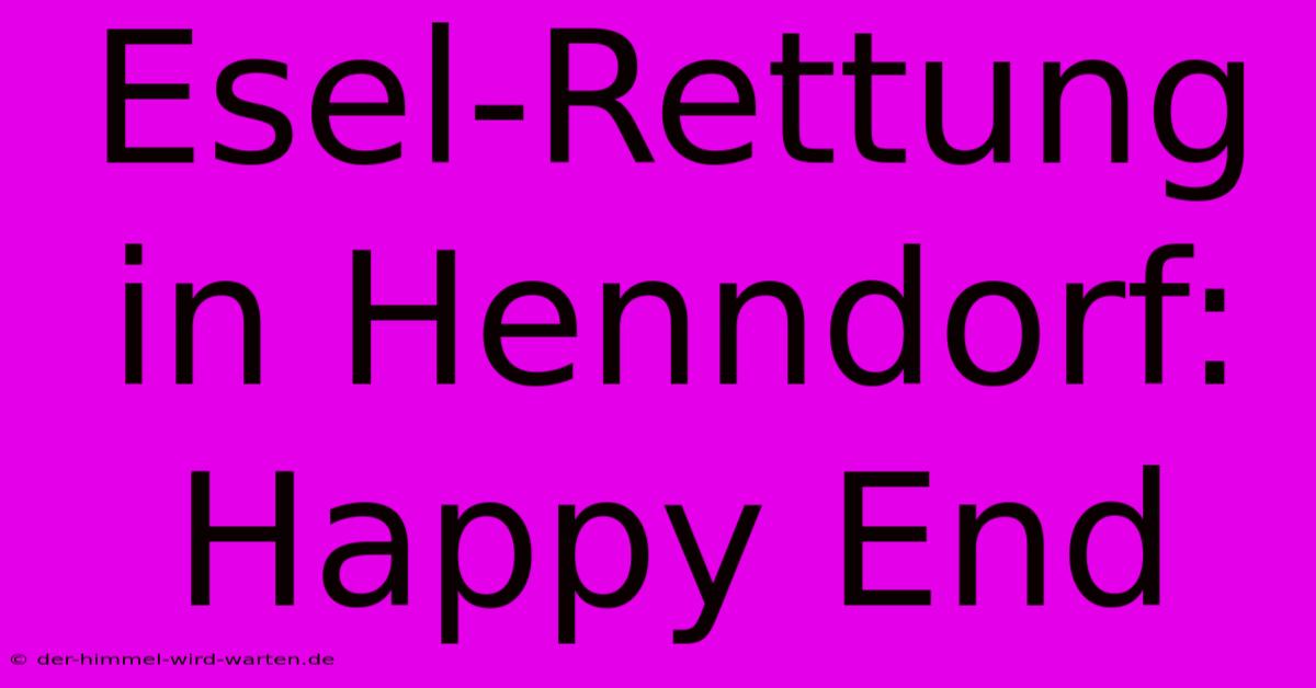 Esel-Rettung In Henndorf: Happy End