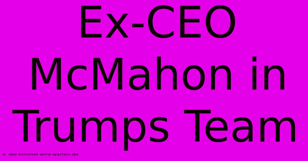 Ex-CEO McMahon In Trumps Team