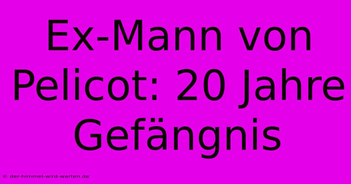 Ex-Mann Von Pelicot: 20 Jahre Gefängnis