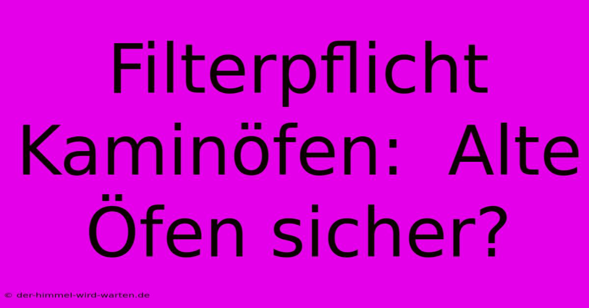 Filterpflicht Kaminöfen:  Alte Öfen Sicher?