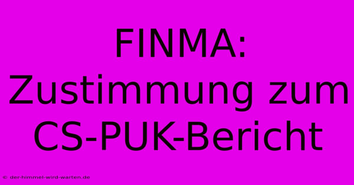 FINMA: Zustimmung Zum CS-PUK-Bericht