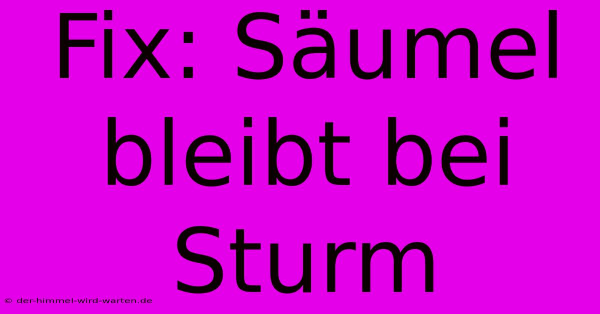 Fix: Säumel Bleibt Bei Sturm