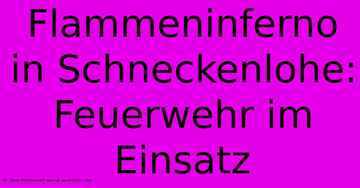 Flammeninferno In Schneckenlohe: Feuerwehr Im Einsatz