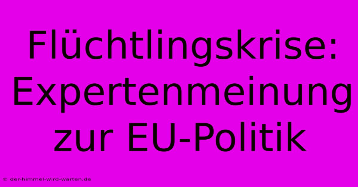 Flüchtlingskrise:  Expertenmeinung Zur EU-Politik