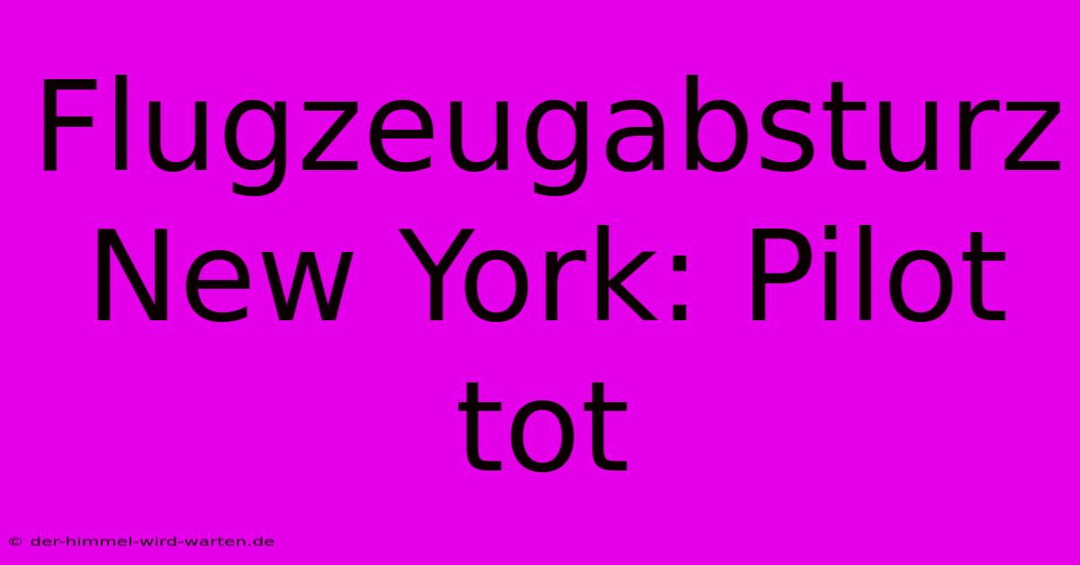 Flugzeugabsturz New York: Pilot Tot