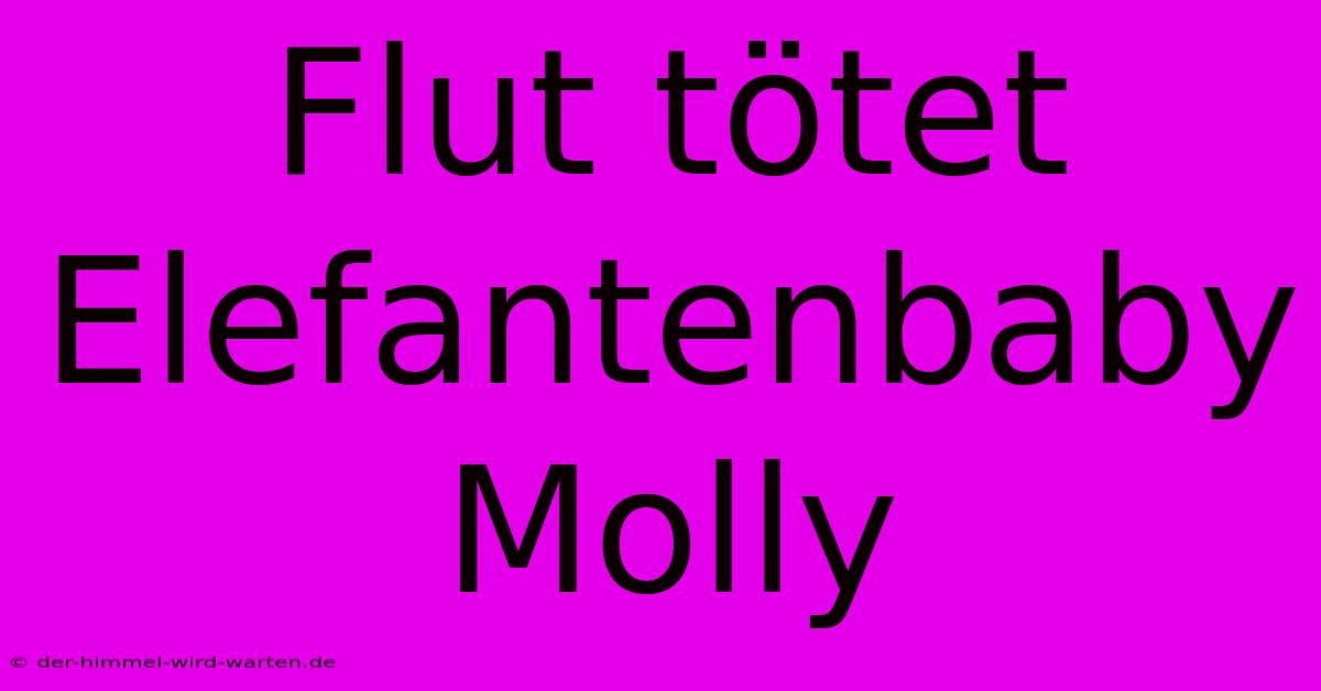 Flut Tötet Elefantenbaby Molly