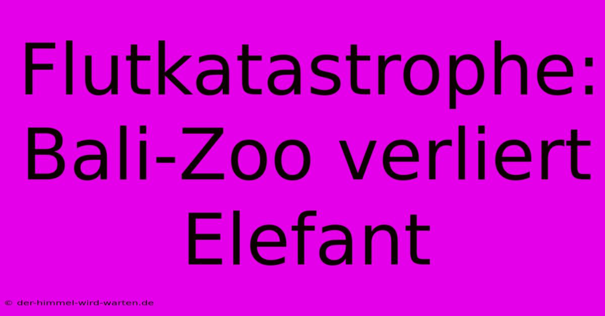 Flutkatastrophe: Bali-Zoo Verliert Elefant