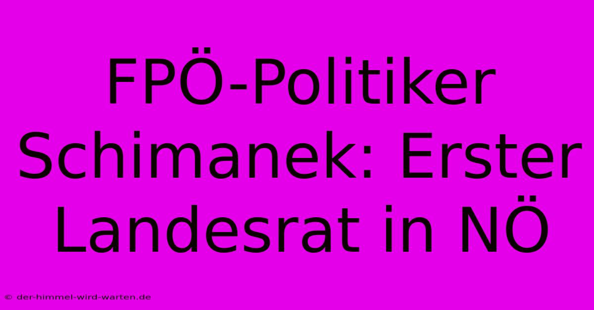 FPÖ-Politiker Schimanek: Erster Landesrat In NÖ