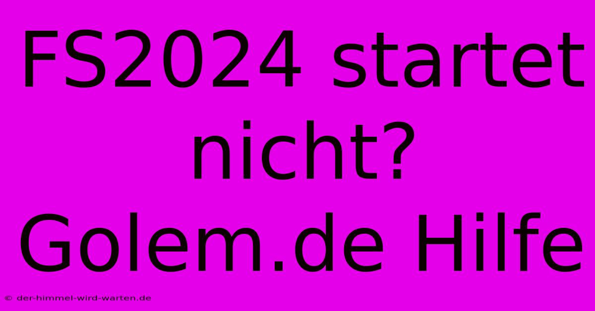 FS2024 Startet Nicht? Golem.de Hilfe