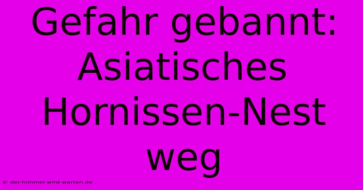 Gefahr Gebannt: Asiatisches Hornissen-Nest Weg