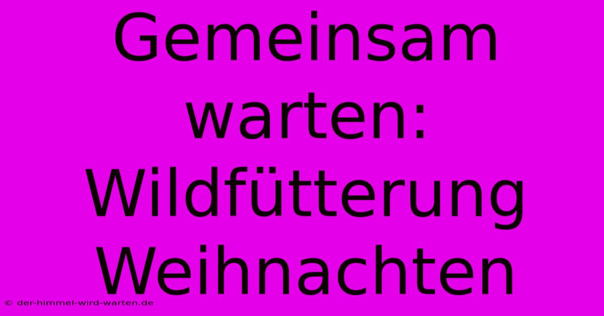 Gemeinsam Warten: Wildfütterung Weihnachten