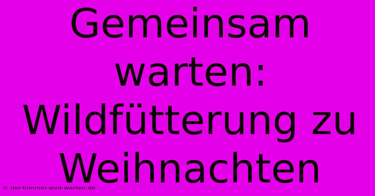 Gemeinsam Warten: Wildfütterung Zu Weihnachten