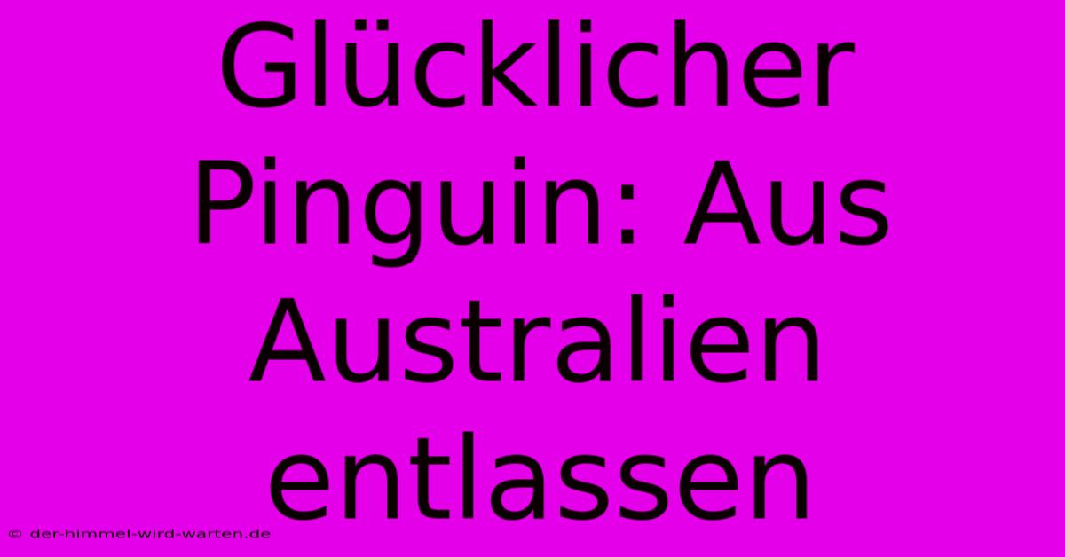 Glücklicher Pinguin: Aus Australien Entlassen