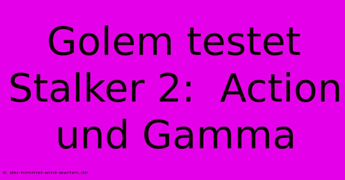 Golem Testet Stalker 2:  Action Und Gamma