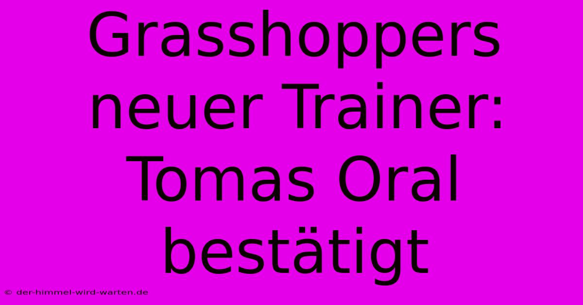 Grasshoppers Neuer Trainer: Tomas Oral Bestätigt