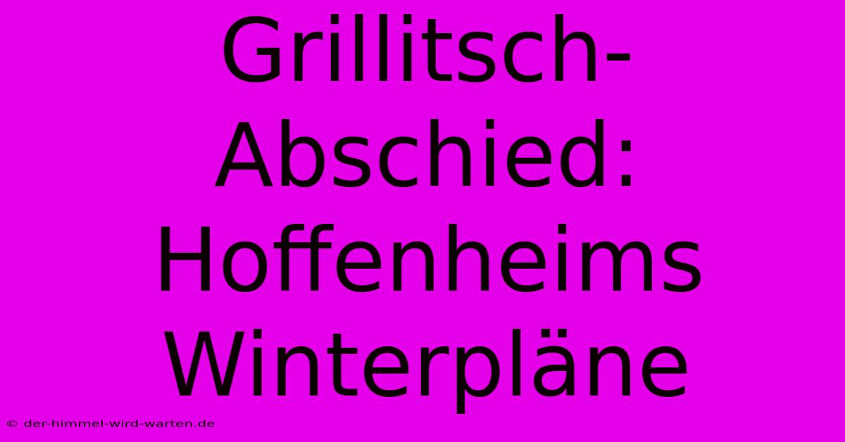 Grillitsch-Abschied: Hoffenheims Winterpläne