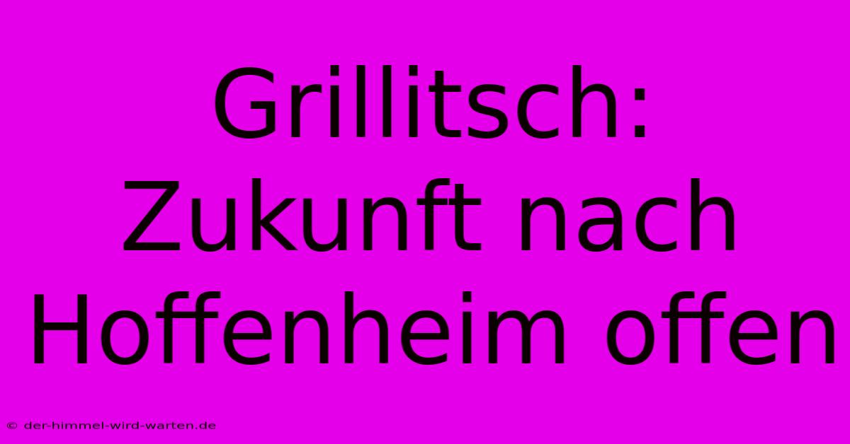 Grillitsch: Zukunft Nach Hoffenheim Offen