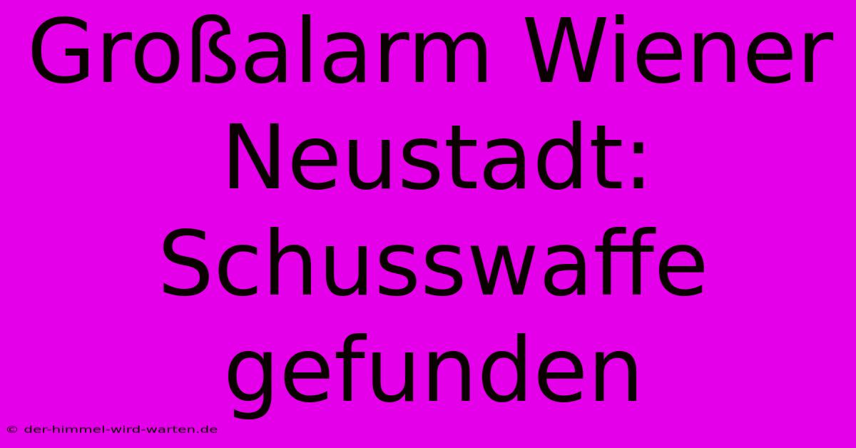 Großalarm Wiener Neustadt: Schusswaffe Gefunden